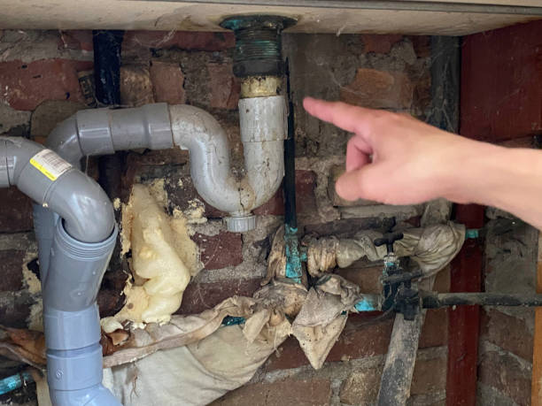 Best Professional water damage repair  in Naugatuck, CT