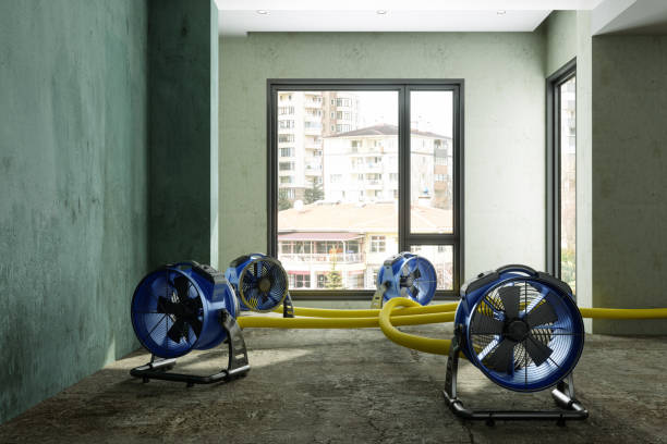 Professional Water damage restoration in Naugatuck, CT